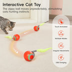 Potaroma automatic ball cat toy - product details and features