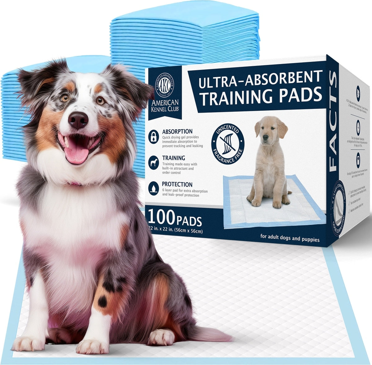 American Kennel Club dog training pads 22 x 22 inch unscented 100 count - front of package