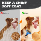 3-in-1 Pet Grooming Kit – Deshedding Rake, Detangling Comb & Flea Comb for Dogs & Cats (Blue)