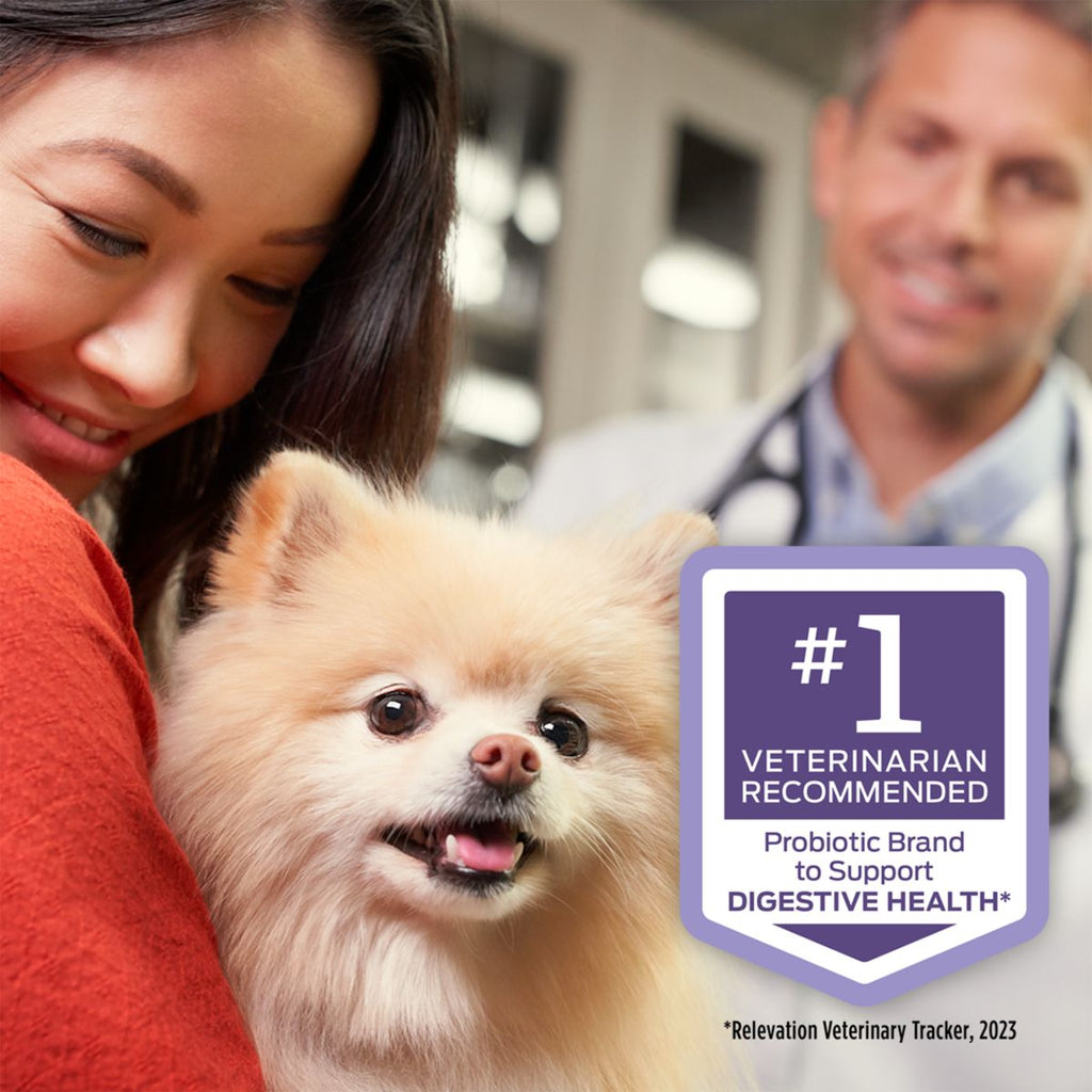 FortiFlora - lifestyle image with dog