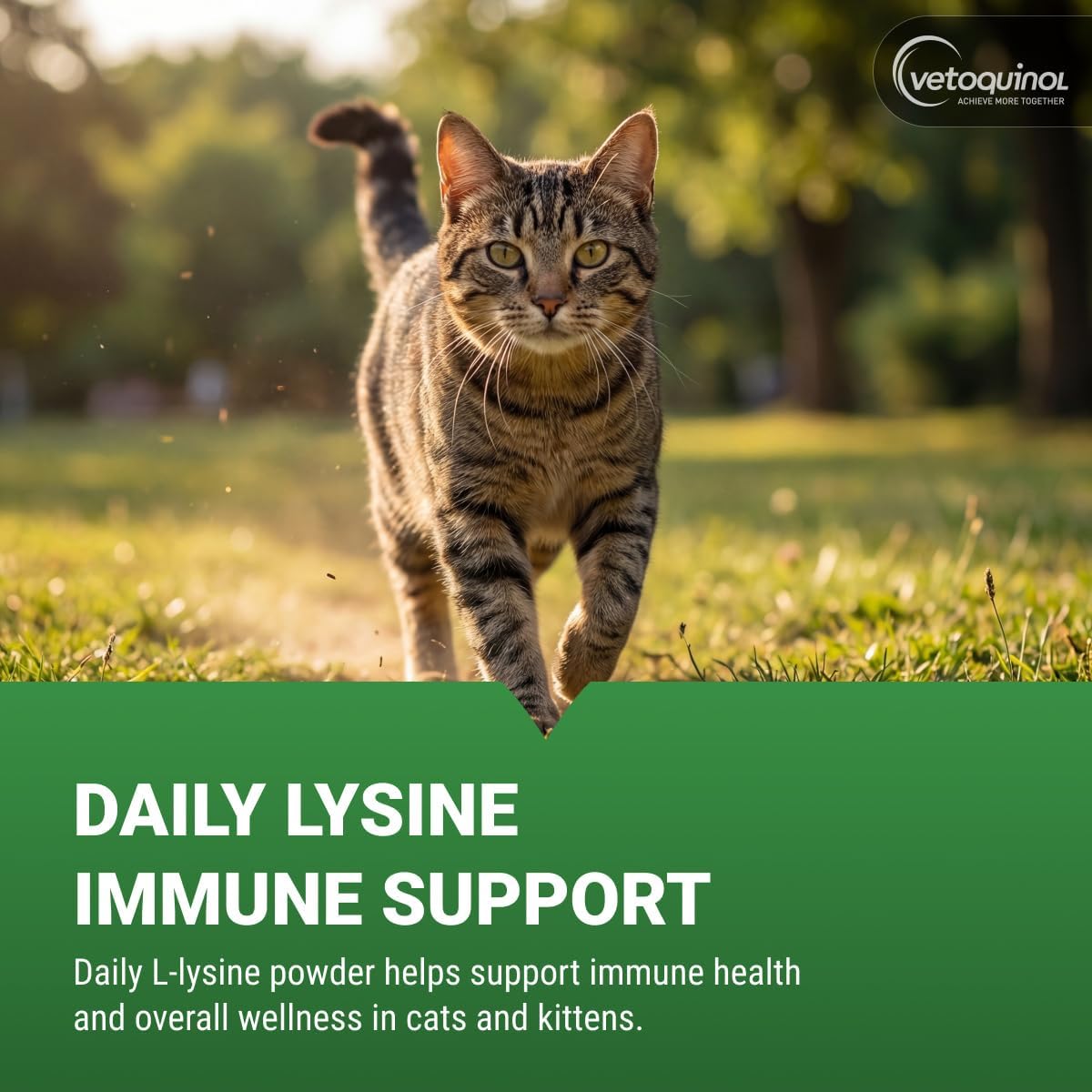 Advanced Feline L-Lysine Immune Support