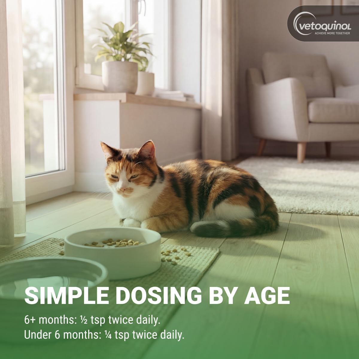 L-Lysine Gel for Cats — Immune & Respiratory Support (Maple Flavor, NASC Certified)