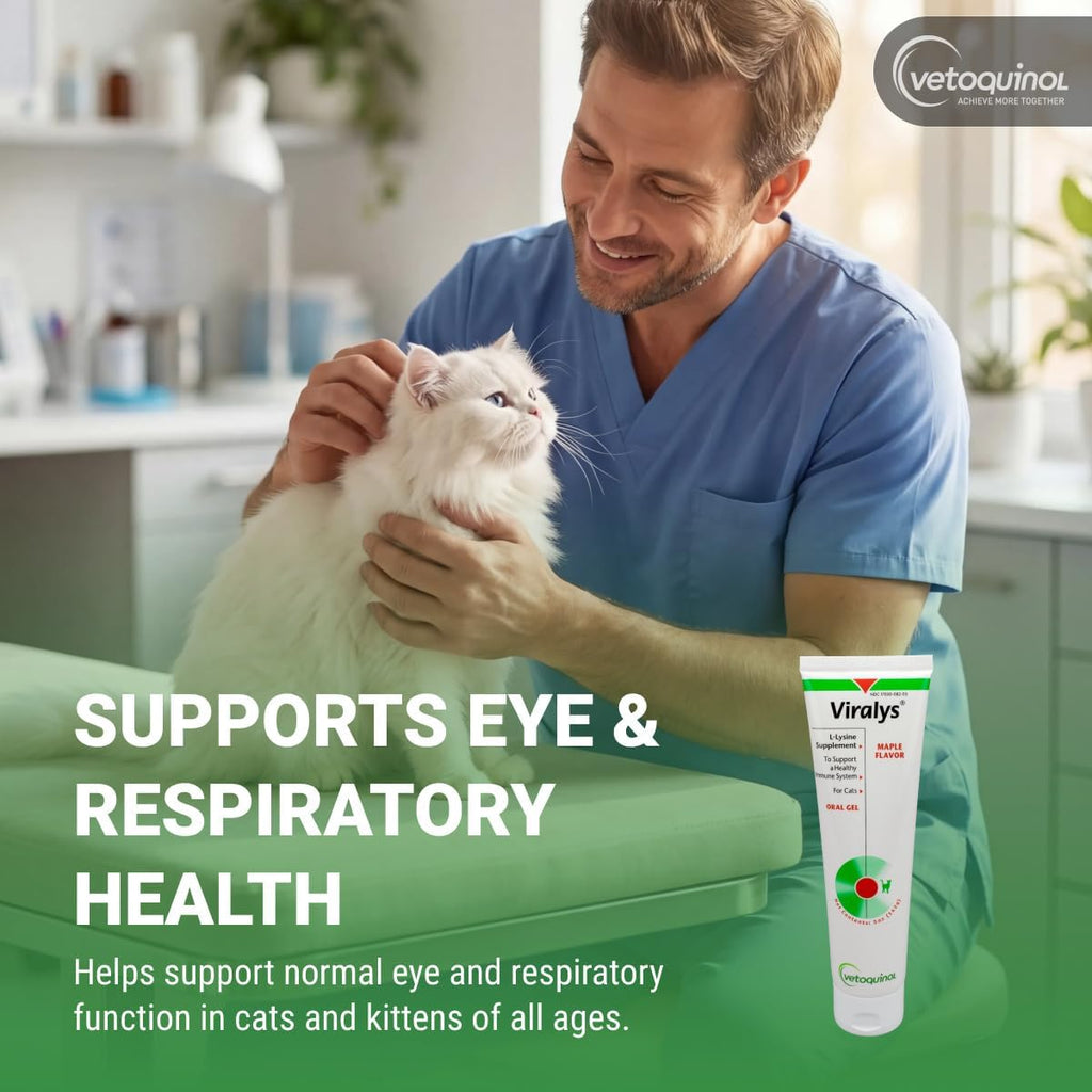 L-Lysine Gel for Cats — Immune & Respiratory Support (Maple Flavor, NASC Certified)