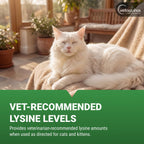 Advanced Feline L-Lysine Immune Support