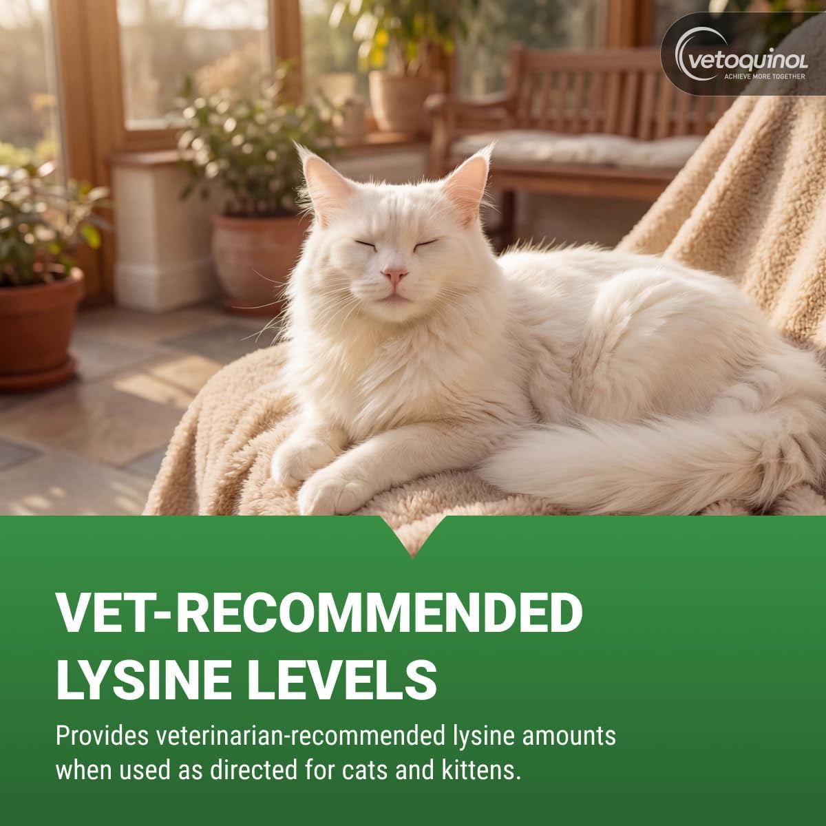 Advanced Feline L-Lysine Immune Support