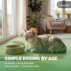 Advanced Feline L-Lysine Immune Support