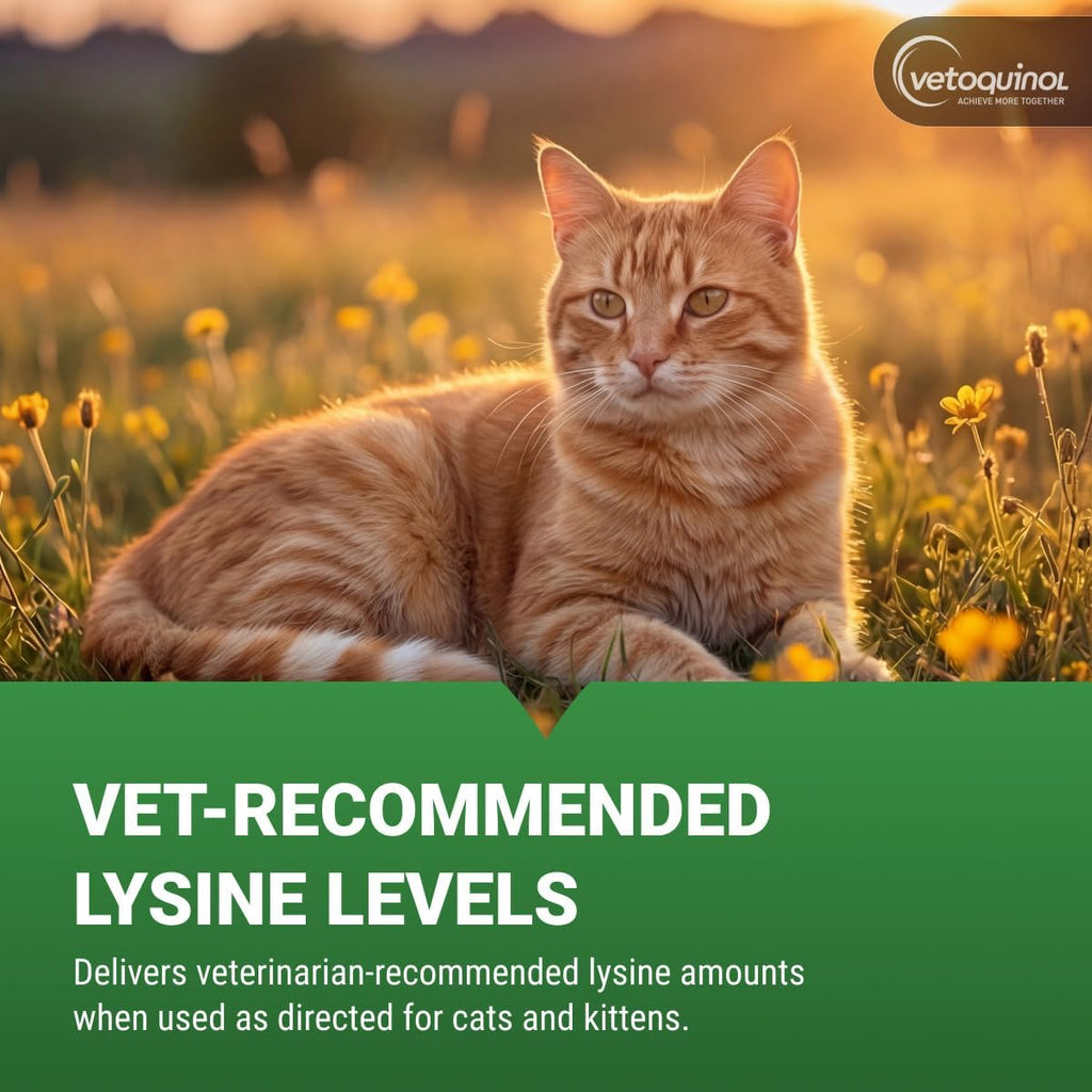 L-Lysine Gel for Cats — Immune & Respiratory Support (Maple Flavor, NASC Certified)