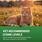 L-Lysine Gel for Cats — Immune & Respiratory Support (Maple Flavor, NASC Certified)