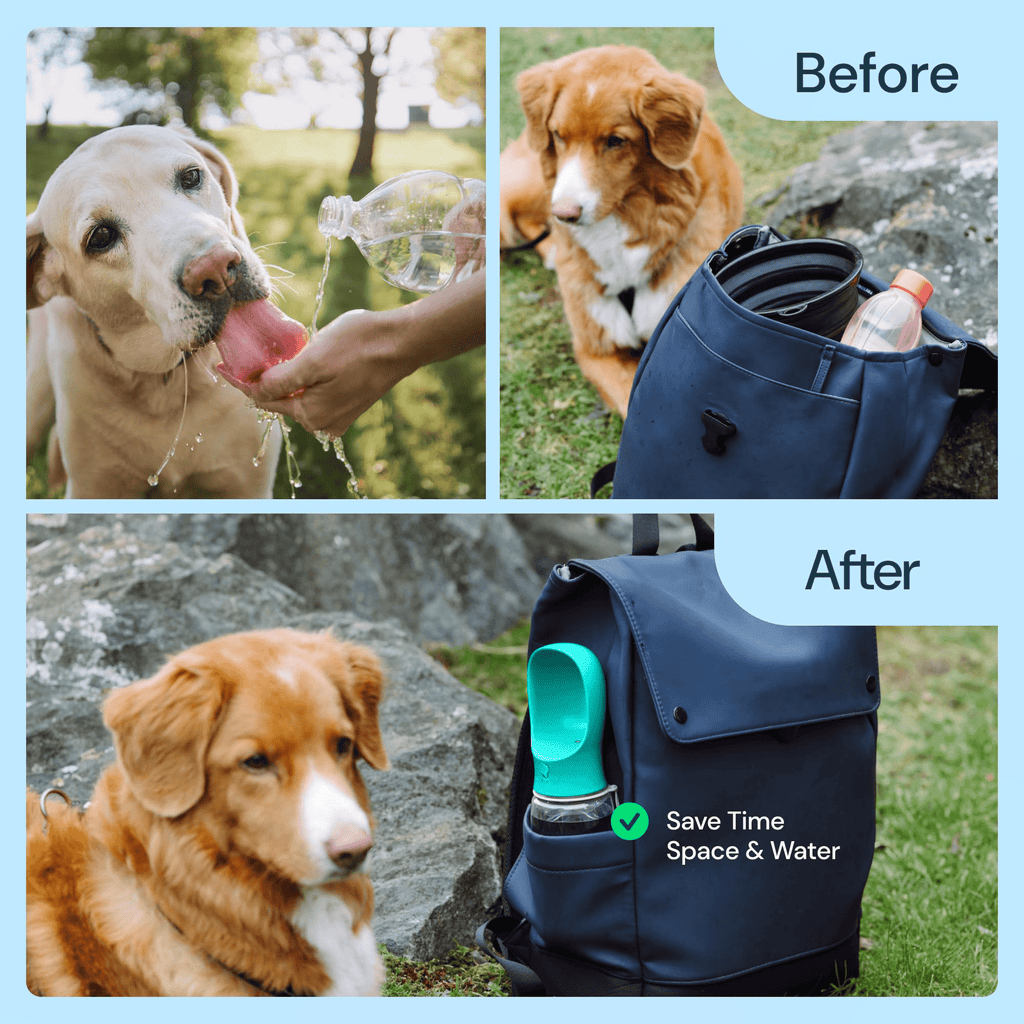 Leak-proof dog water bottle with silica gel seal and sling rope for walking