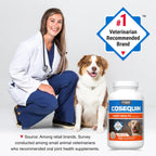 Nutramax Cosequin joint health chewable tablets for dogs - front of bottle
