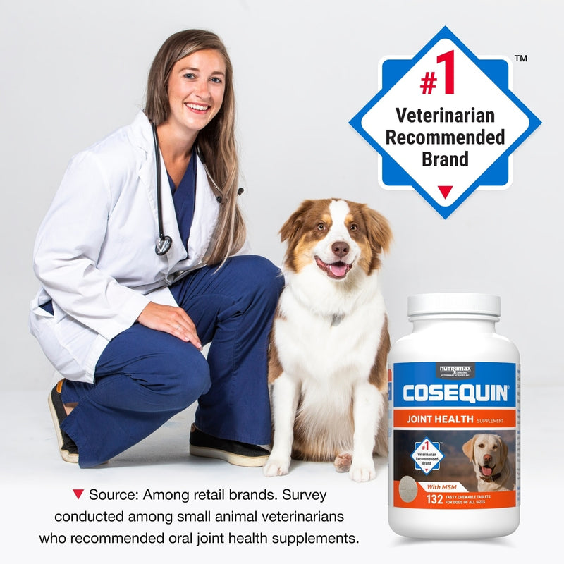 Nutramax Cosequin joint health chewable tablets for dogs - front of bottle