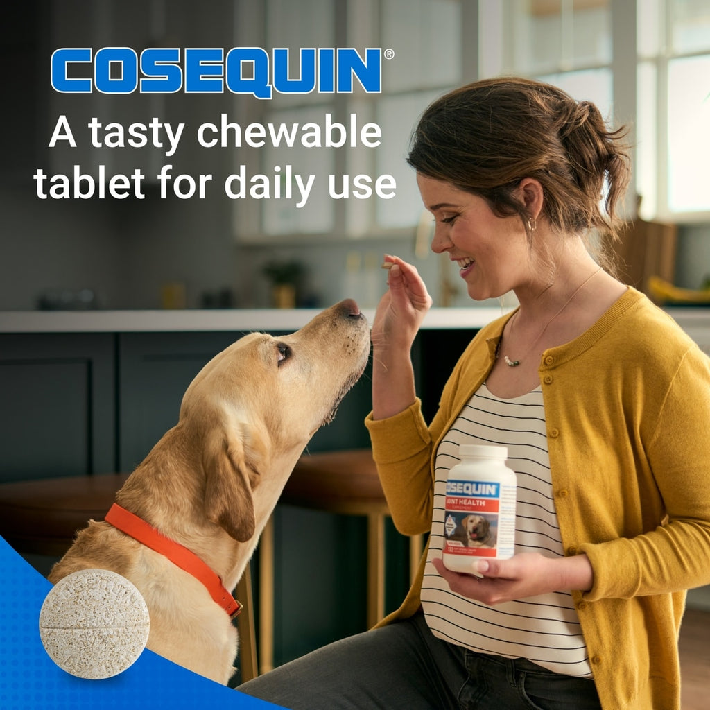 Cosequin back label with directions and ingredients